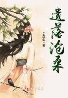 遗落沧桑讲了啥