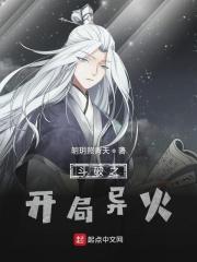 斗破开局得异火飞卢