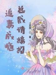总裁追妻请止步