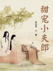 甜宠小夫郎by双男主