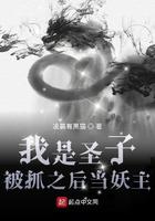 圣子竟是我自己