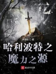 哈利波特之魔法传奇