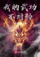 我的武功不太正经