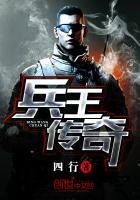 兵王传奇33言情