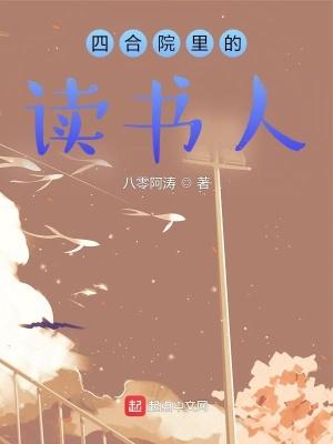 四合院读后感