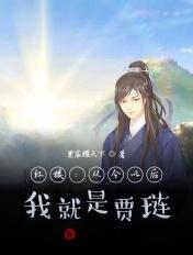 我就是贾琏 紫宸耀天下