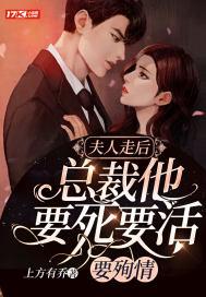 夫人死了总裁疯了