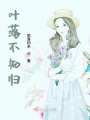 落叶不问归期