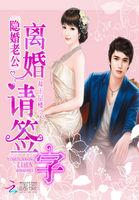 隐婚老公100分全文免费阅读